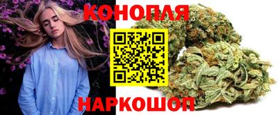сатива Белореченск