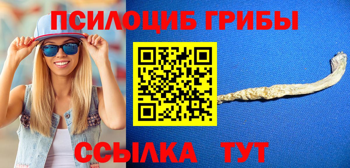 Галлюциногенные грибы MAGIC MUSHROOMS  Вход с VPN  Псилоцибиновые грибы MAGIC MUSHROOMS  Белово 